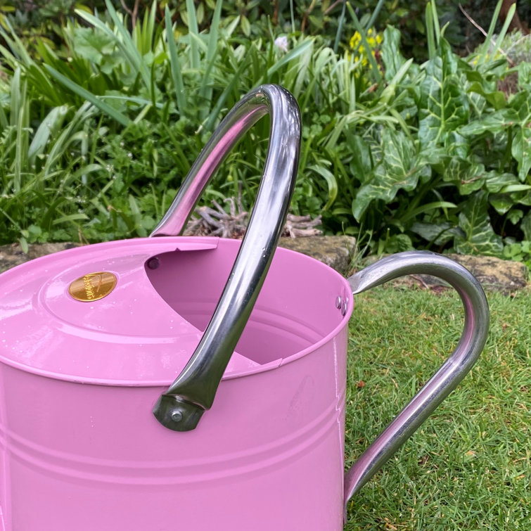 Selections 9 Litre Watering Can Wayfair.co.uk